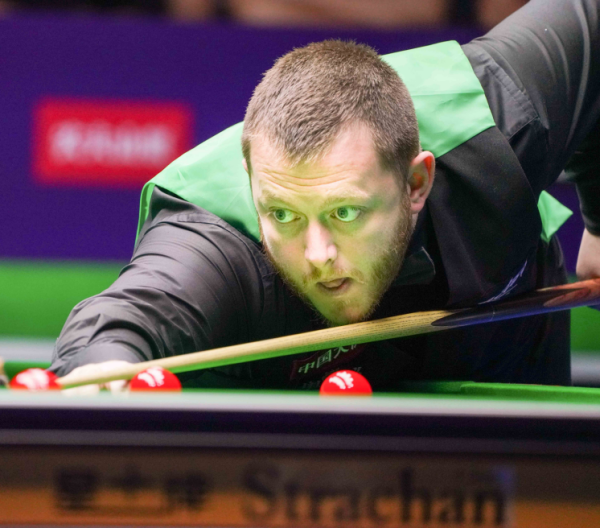 此次活动不 此次活动不