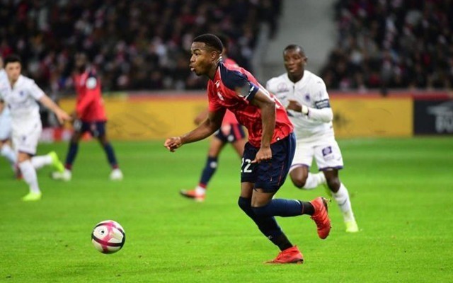 随着人们对 随着人们对