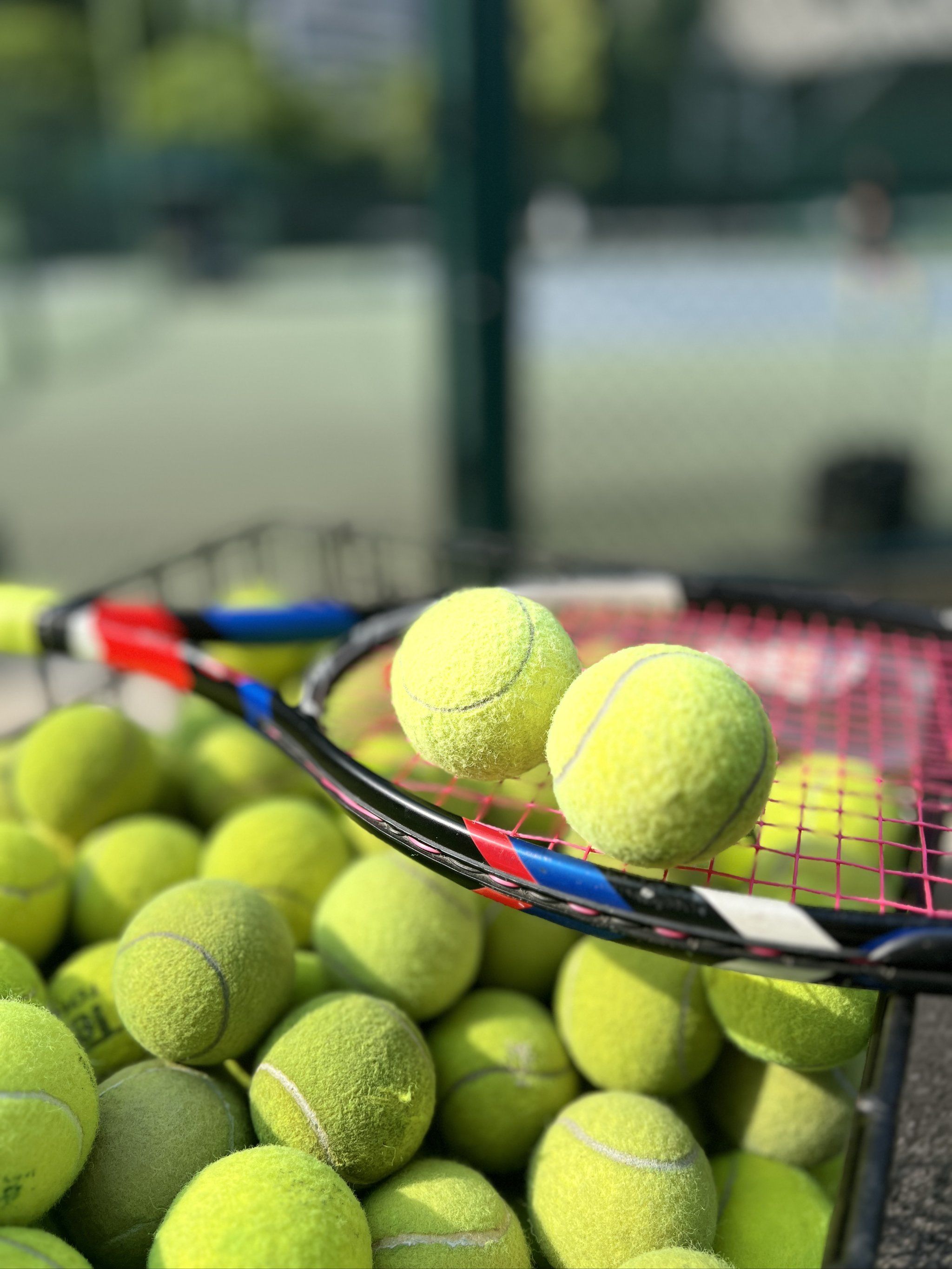 是专业做法 是专业做法